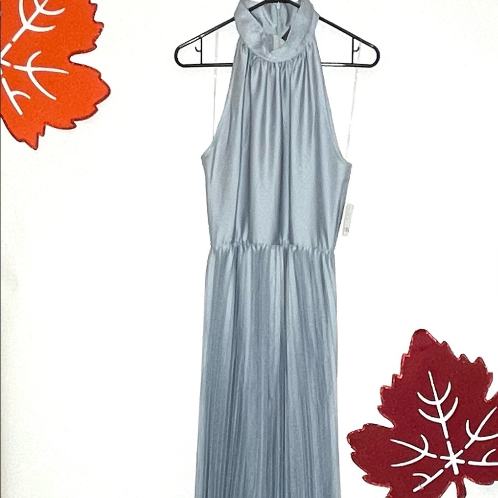 Taylor Long Pleated Dress Size 10